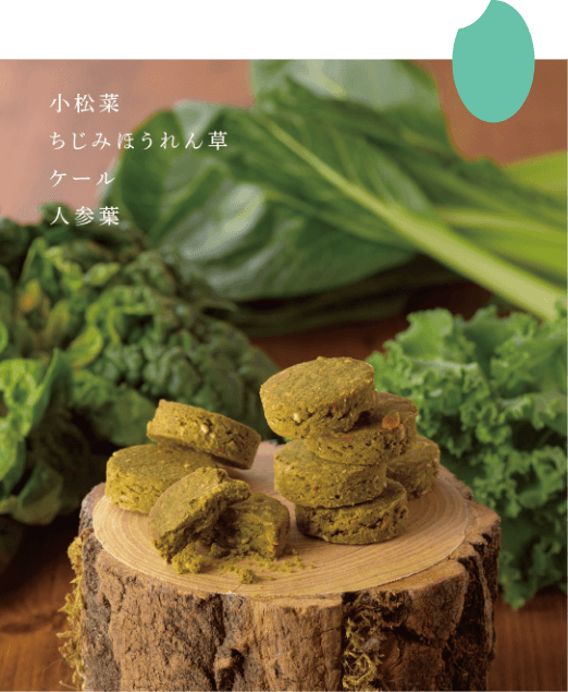 MAI FRIENDSクッキー・みどり